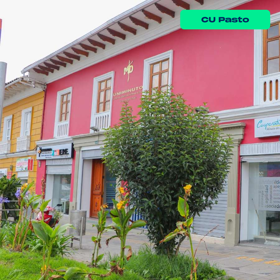 Pasto-1